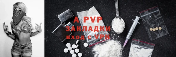 дживик Осинники