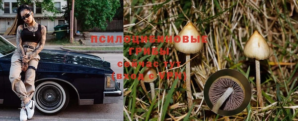 дживик Осинники