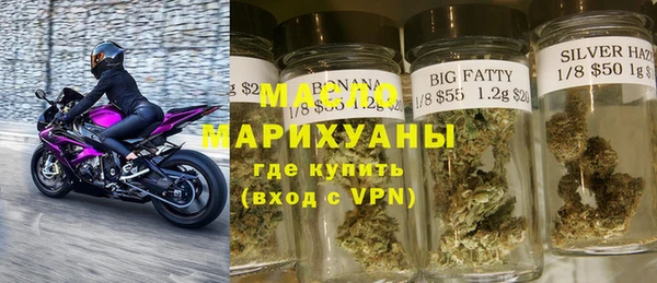 дживик Няндома