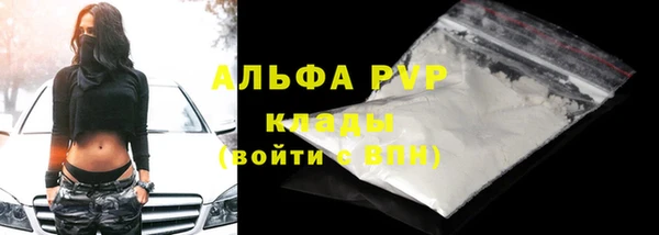 дживик Осинники