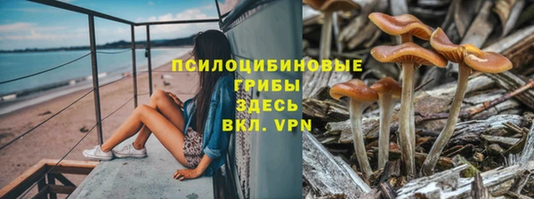 дживик Нязепетровск