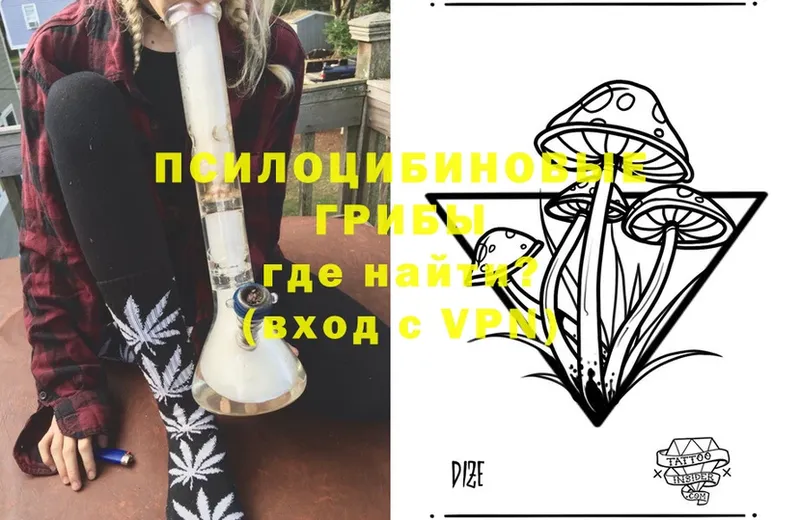 Псилоцибиновые грибы Magic Shrooms  Ветлуга 